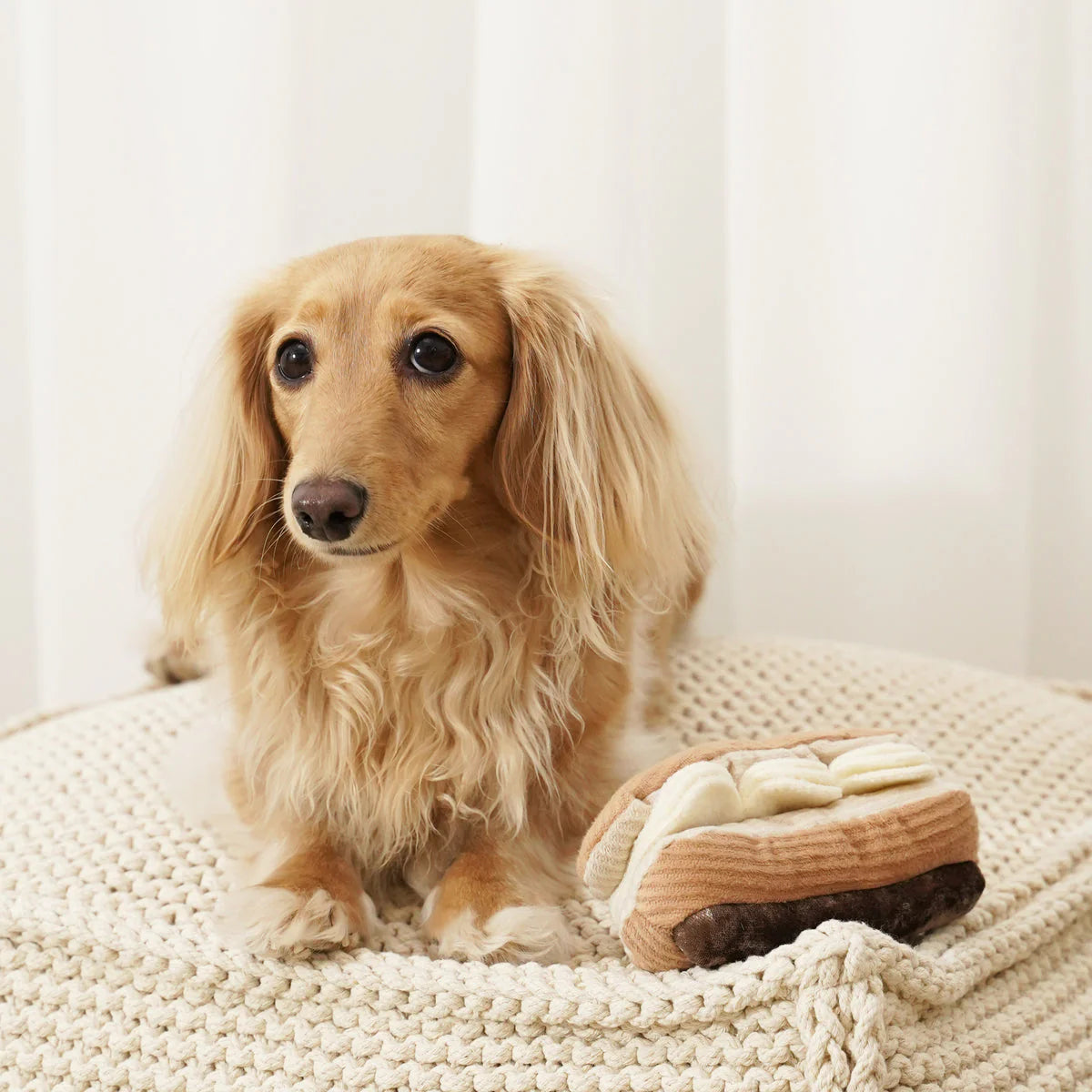 ECLAIR Squeaky + Snuffle Toy