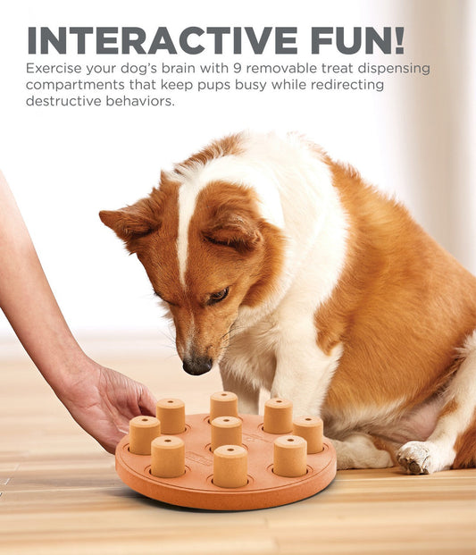 DOG PUZZLE GAME - DOG SMART Composite