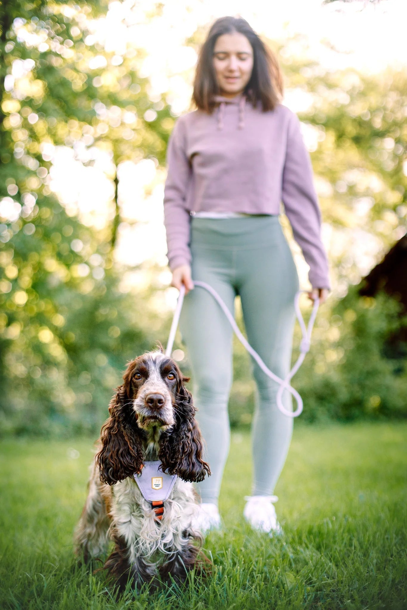 Color Block Harness