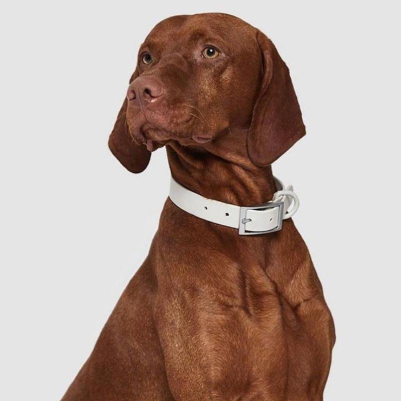 Collar
