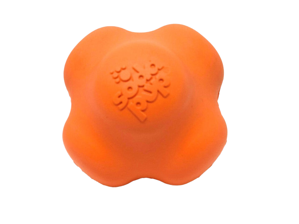 SP Crazy Bounce Retrieving Toy