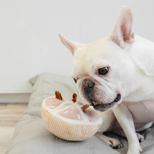 Grapefruit - Squeaky + Snuffle Toy