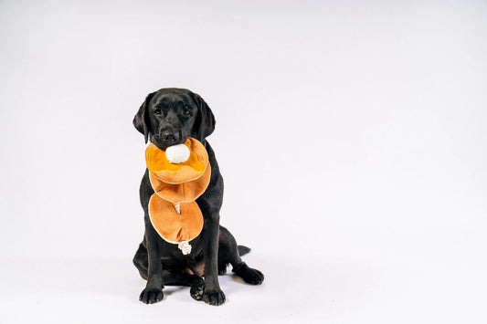 Dog Plush Toy - IHOP - Pancake Pup Stack
