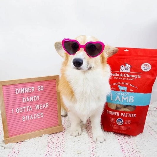 Stella & Chewys Freeze-Dried Dog Food - Dandy Lamb Patties