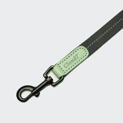 Pet Leash Madeira