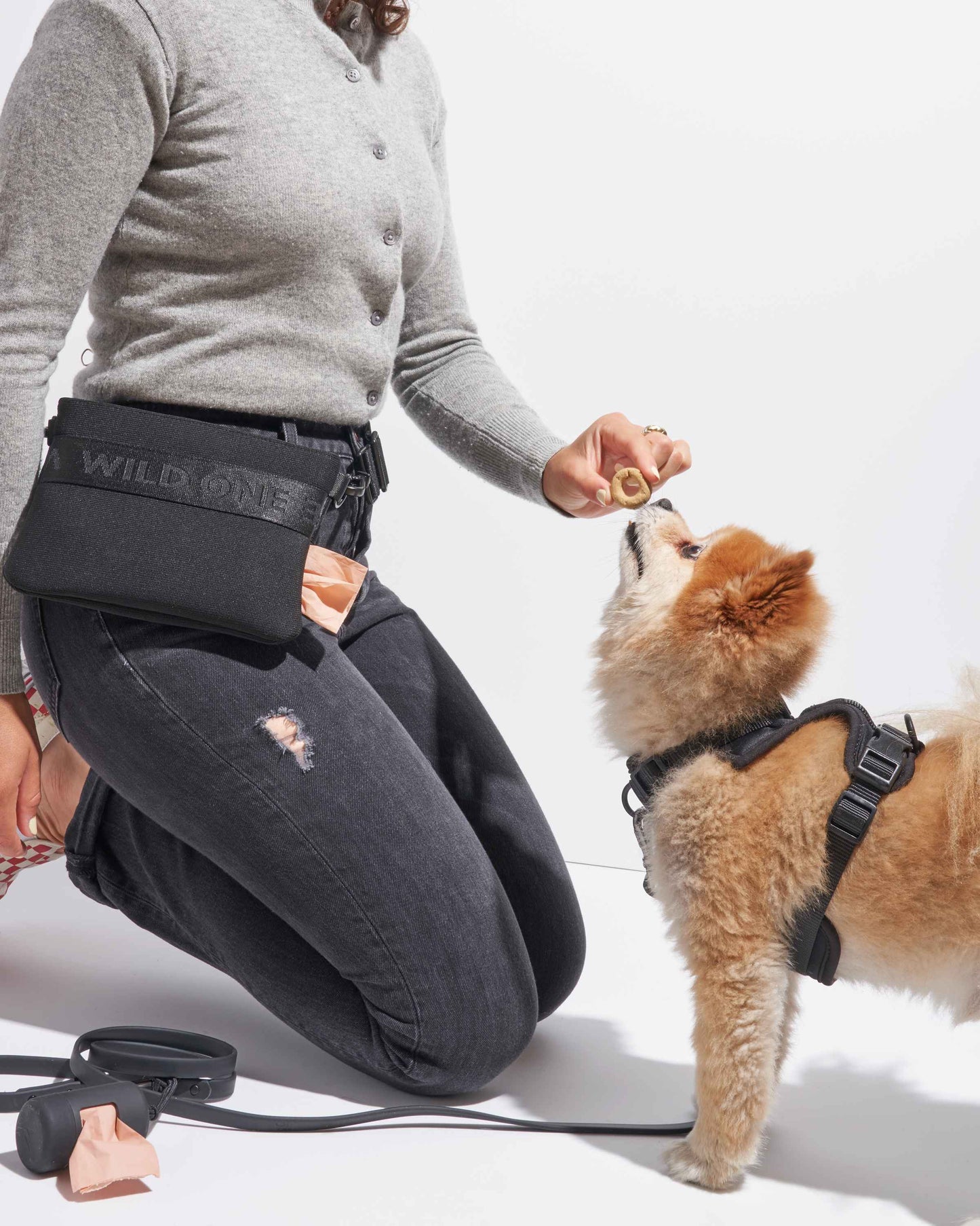 Treat Pouch