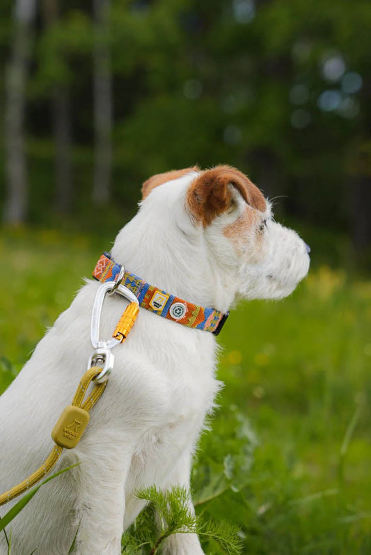Rope Leash Pistachio