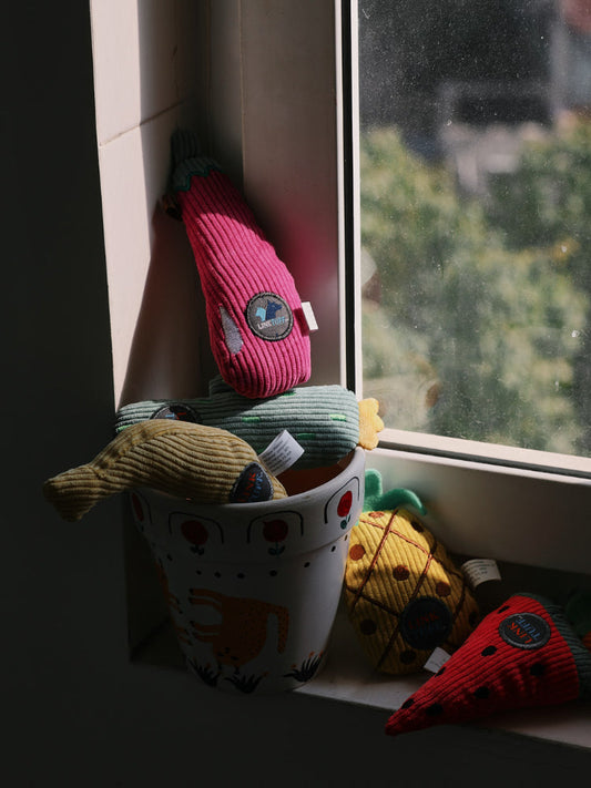 Fruit Catnip Toy