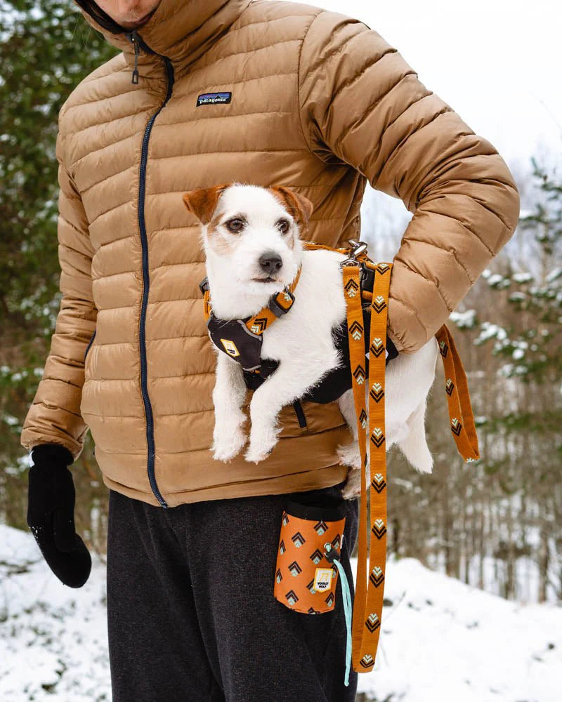 Sea to Summit Leash