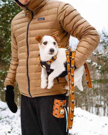 Sea to Summit Leash