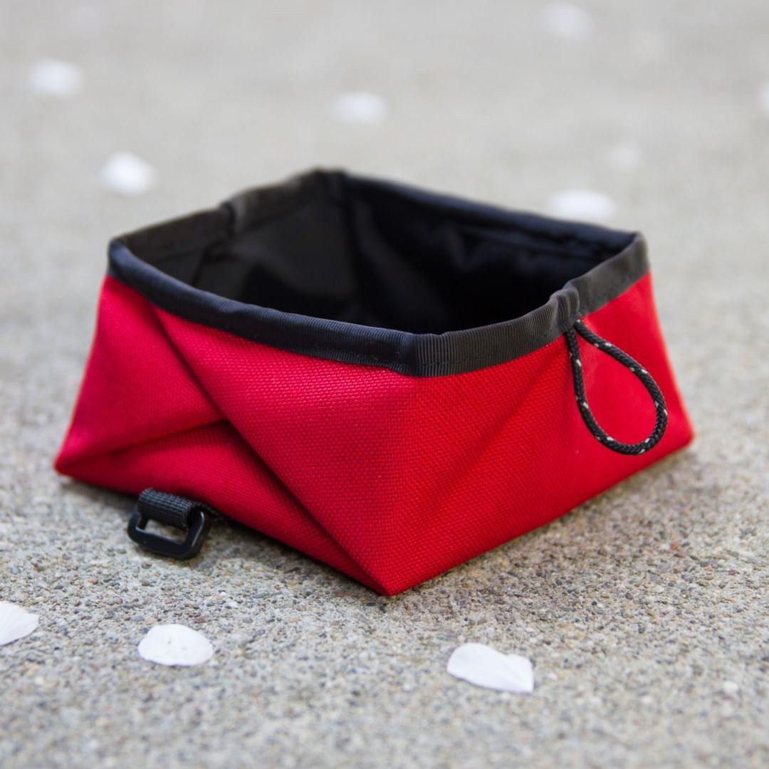 Montara Pop-Up Dog Bowl