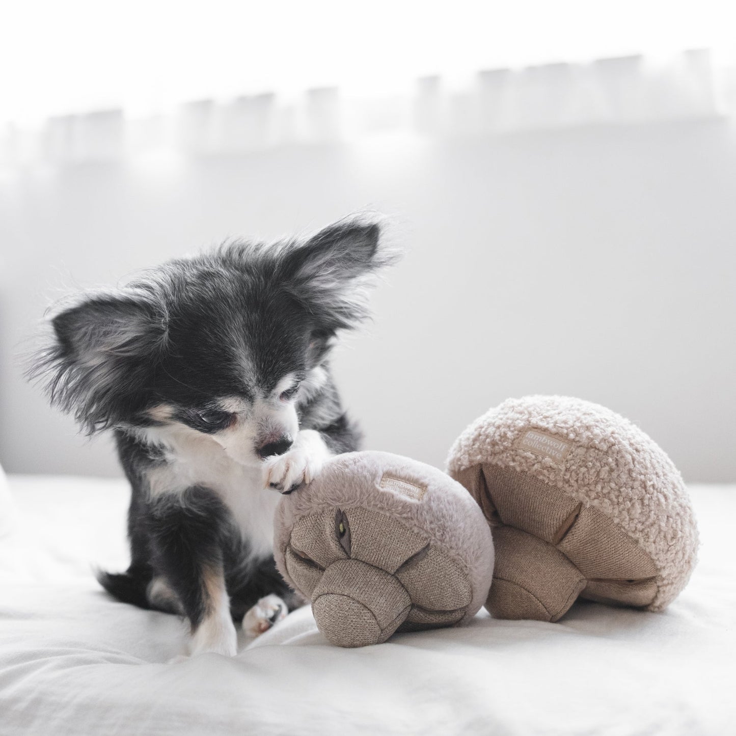 Guu - Snuffle Mushroom Toy