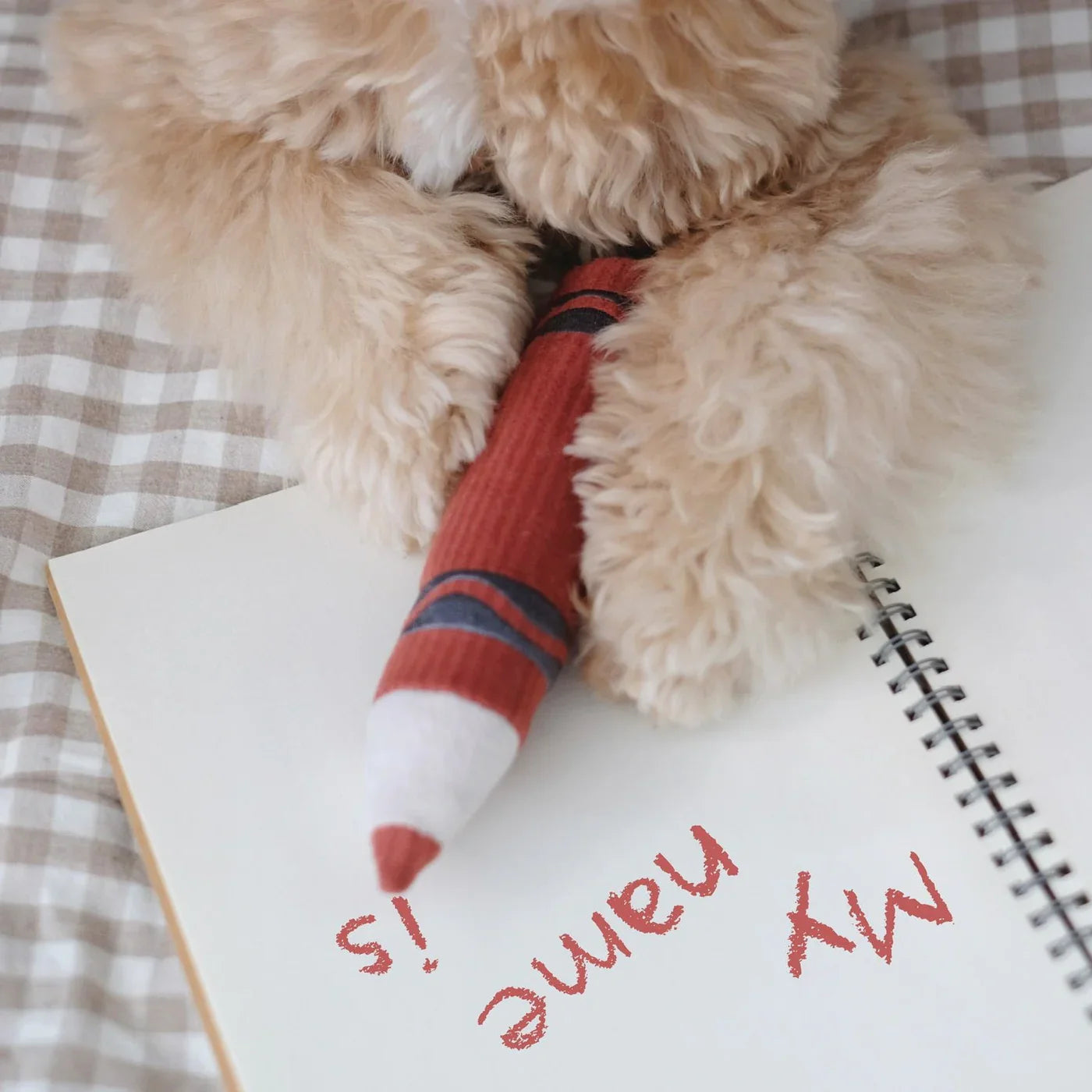 CRAYONS snuffle + burrow toy