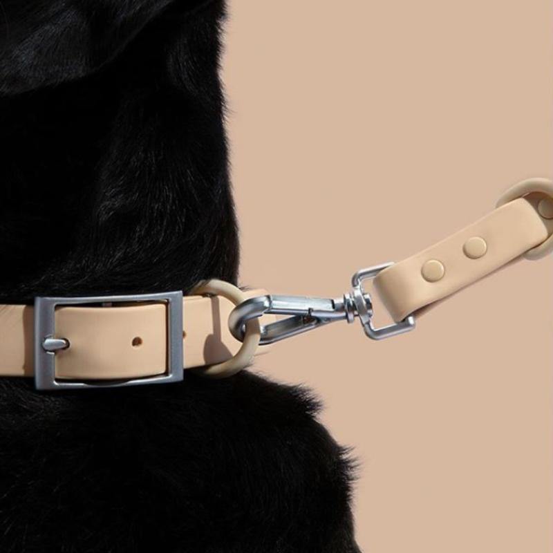 Leash - SALE