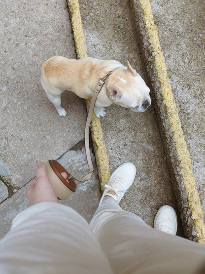 Chaco Dog Leash