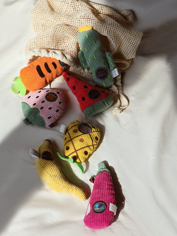 Fruit Catnip Toy