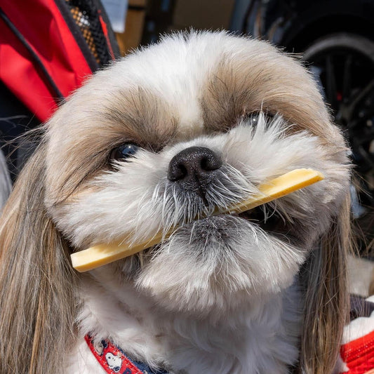 Cheese Sticks