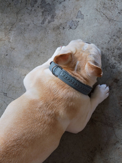 Mistico Dog Collar