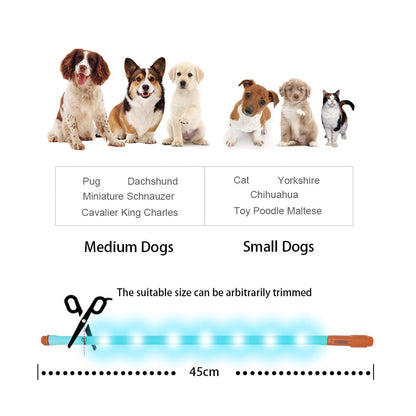 Luna F33 LED Collar Light
