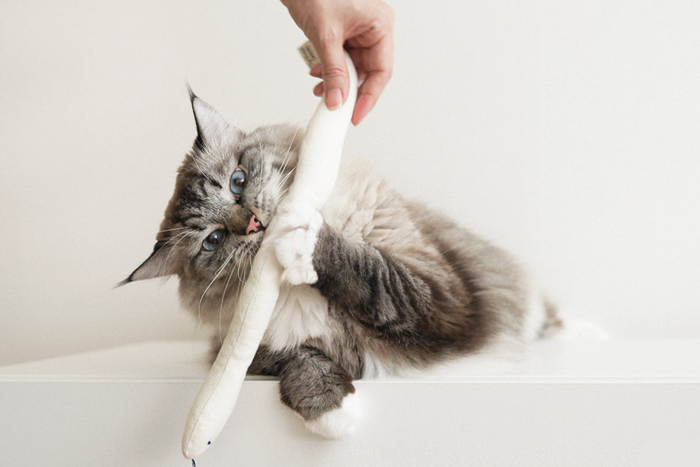 Cat Toy Boa Snake