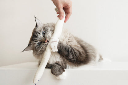 Cat Toy Boa Snake