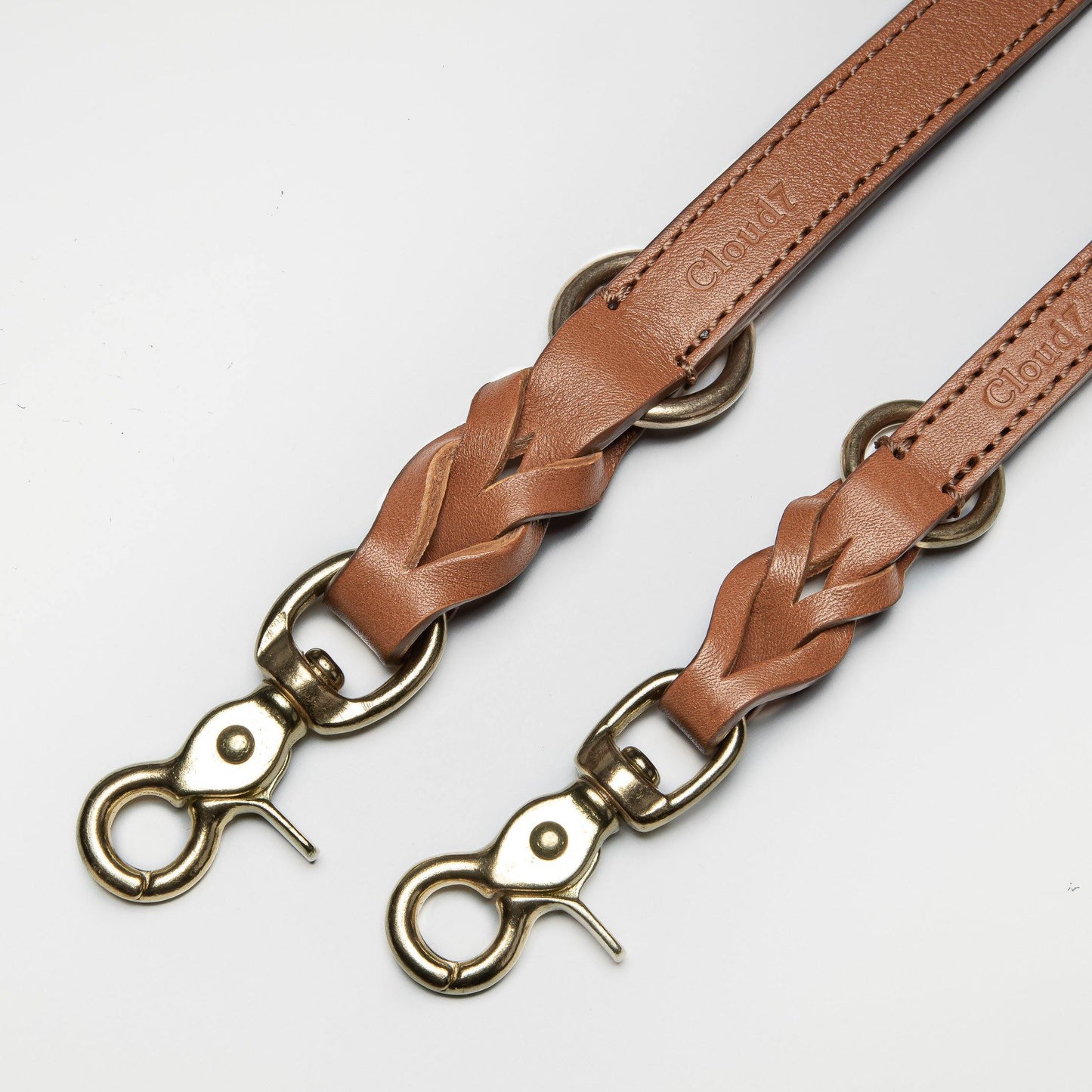 Dog Leash Hyde Park