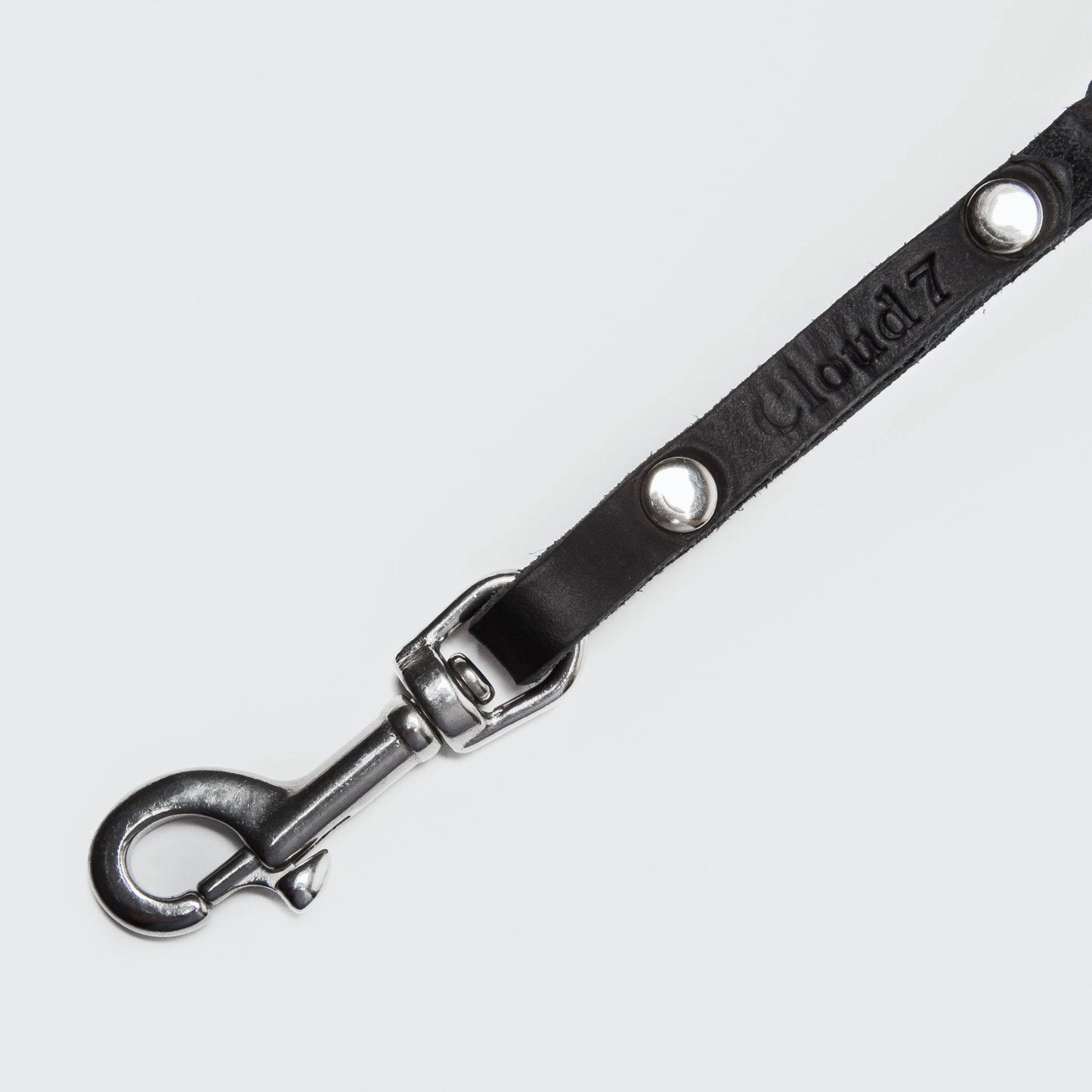 Dog Leash Central Park