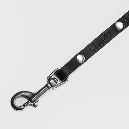 Dog Leash Central Park