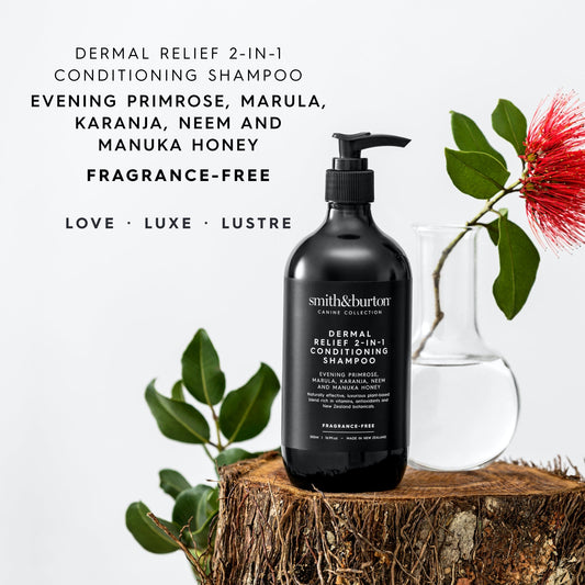 Dermal Relief 2-in-1 Conditioning Shampoo