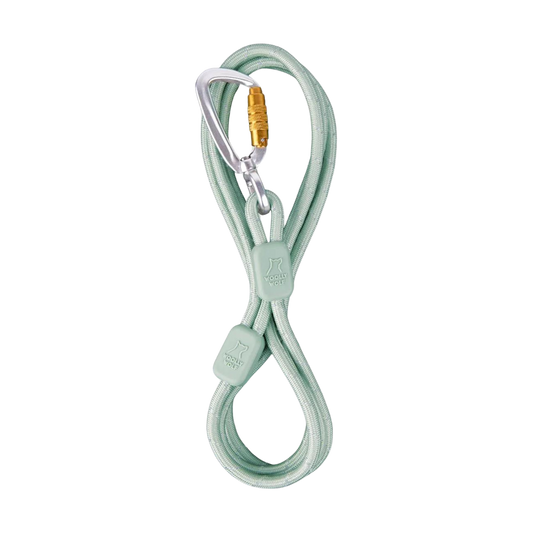 Rope Leash - Glacier Green