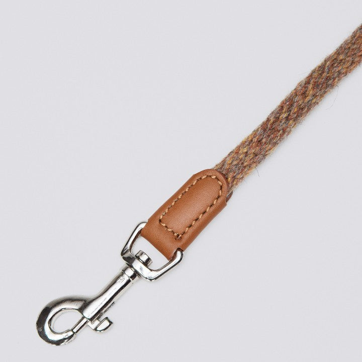 Dog Leash Vondelpark