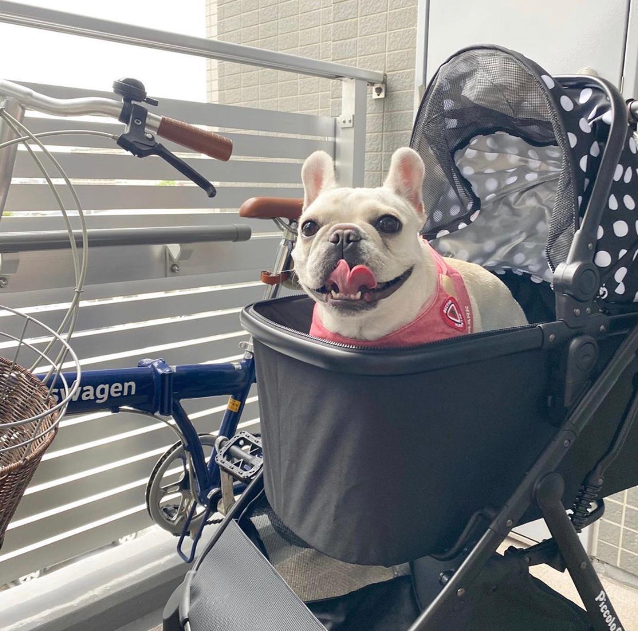 Eco Liona Pet Stroller