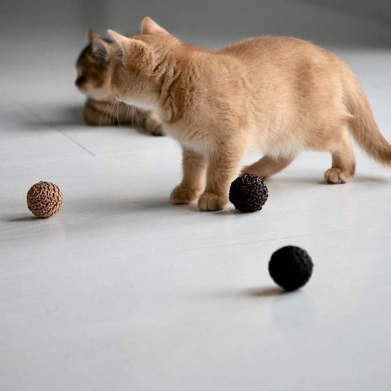 Filo Cat Toy Ball