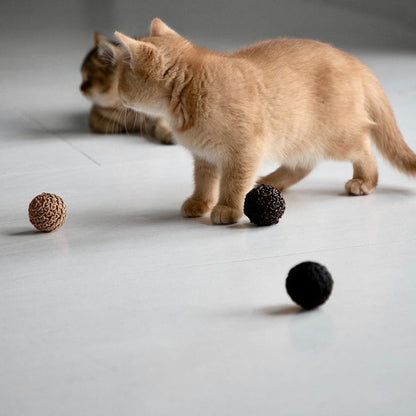 Filo Cat Toy Ball
