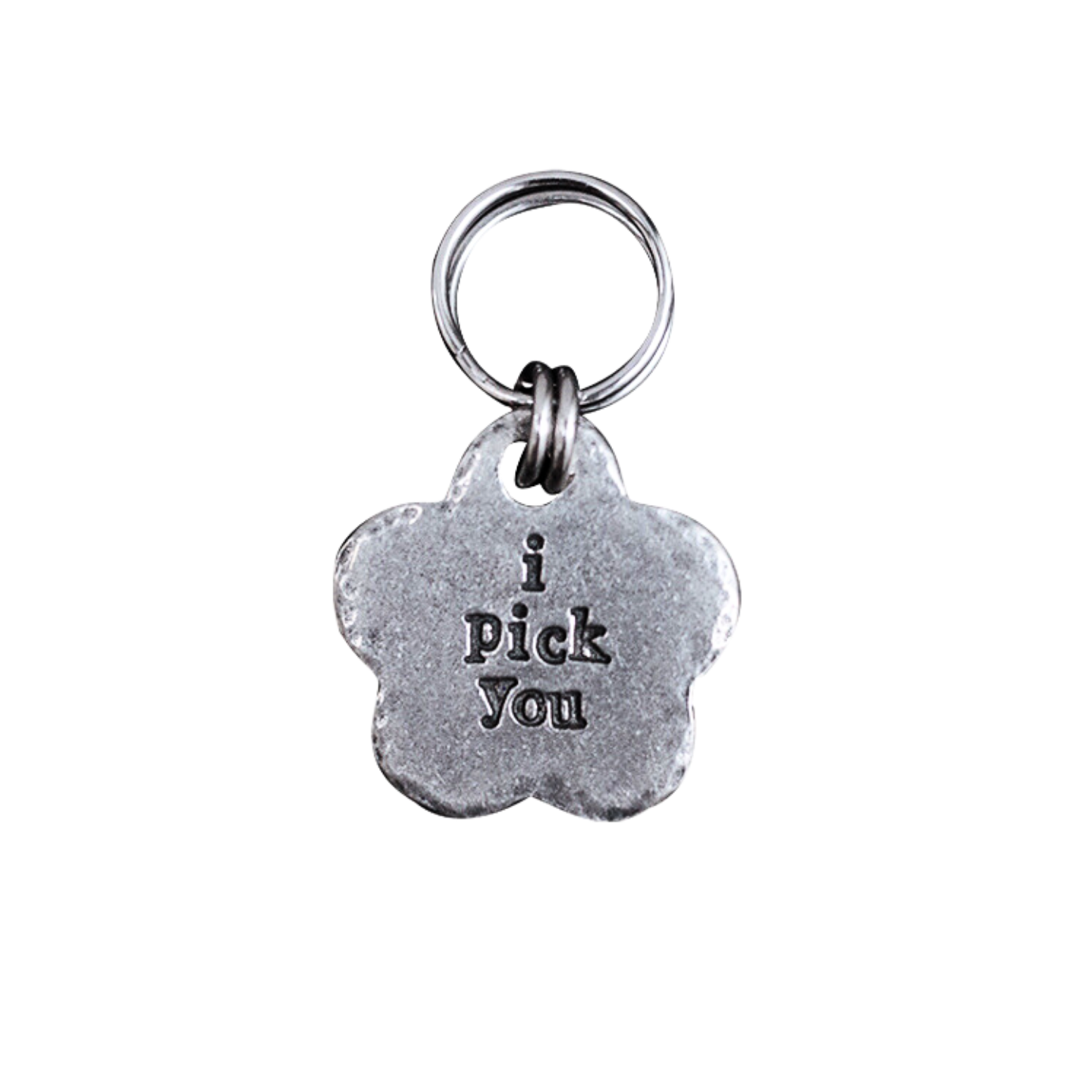 Pet ID Name Tag