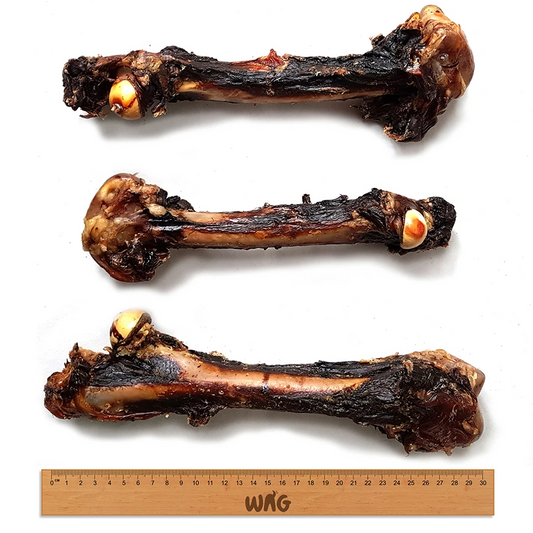 Kangaroo Large Bone