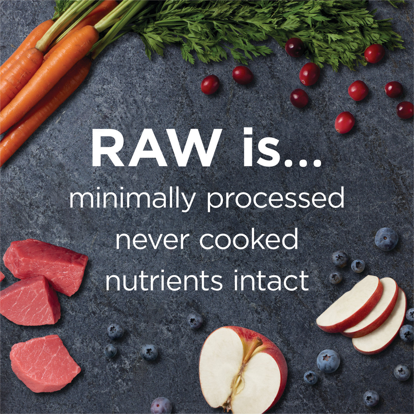 Instinct - Dog Kibble with Freeze Dried - Raw Boost Real Beef Grain-free Recipe