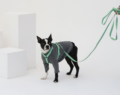 Macaron Hands Free Dog Leash
