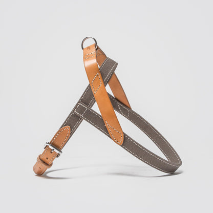 Harness Tivoli