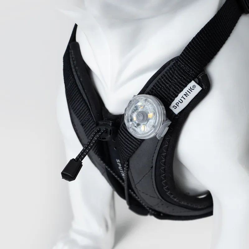 LED Light Pendant