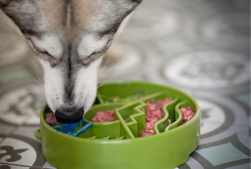 Great Outdoor Slow Feeder Bowl