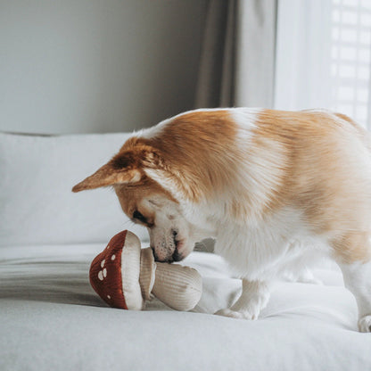 SHROOM - Snuffle Mushroom Toy