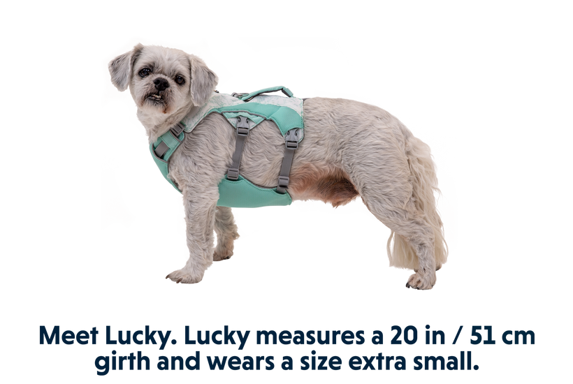 Swamp Cooler™ Pet Cooling Harness