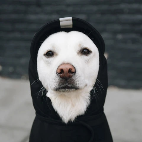 All Weather Dog Jacket