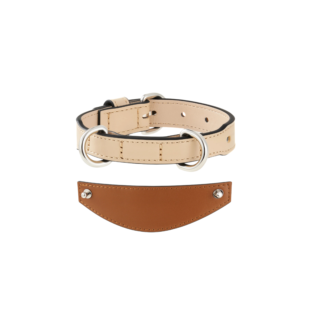 Chaco Dog Collar