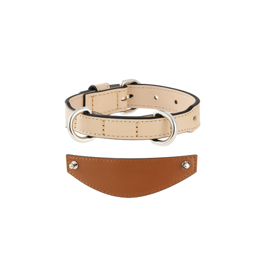 Chaco Dog Collar