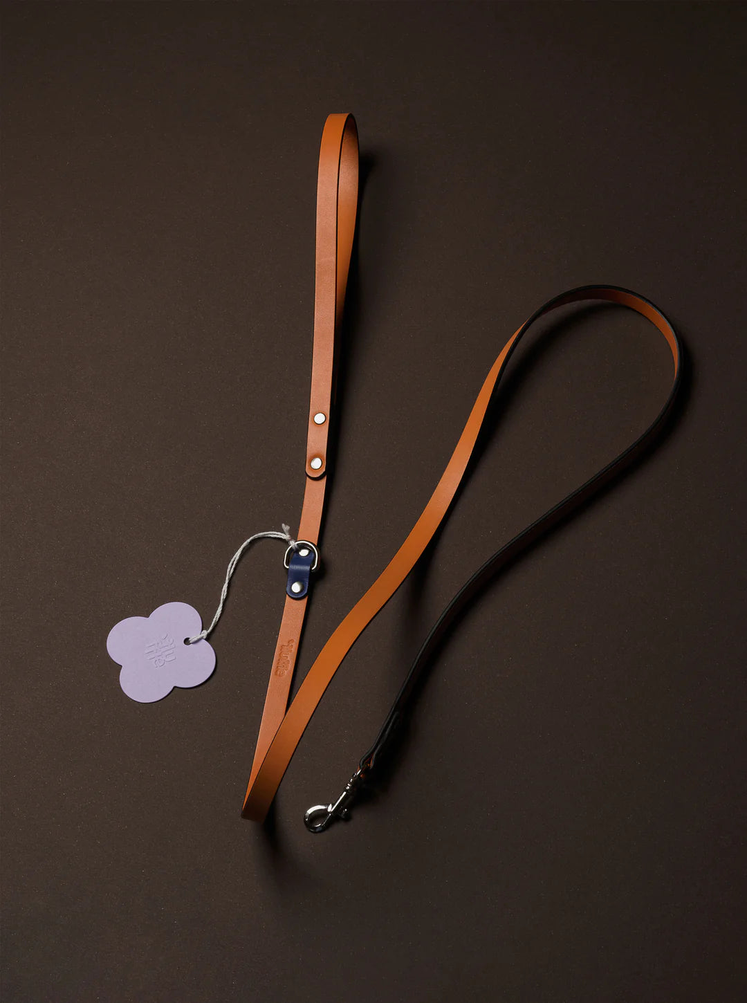 Galicia Dog Leash