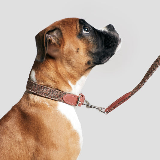 Dog Leash Boboli Rosé
