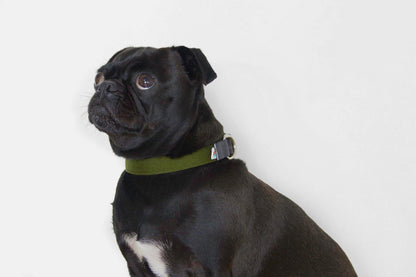 Funston Dog Collar