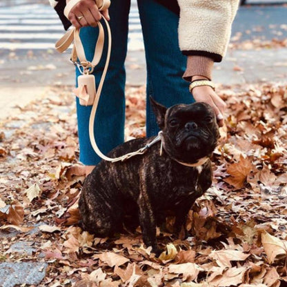 Leash - SALE